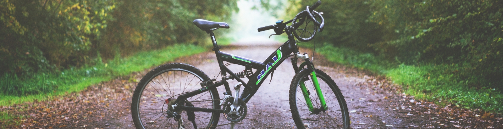 Photo d'un vélo sur un chemin en pleine forêt