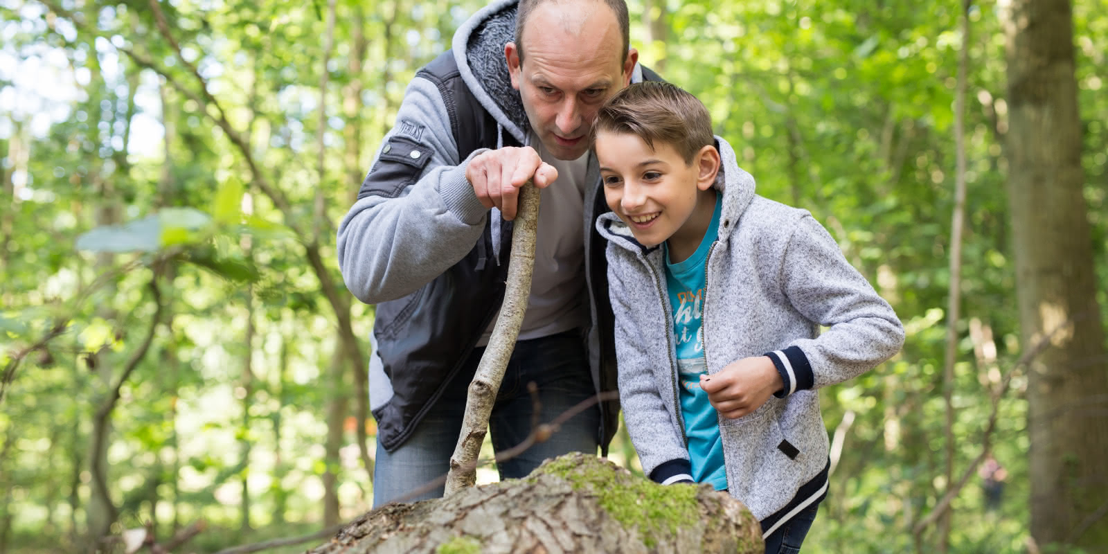 Photo d'un père et son fils en forêt observant la flore environnante