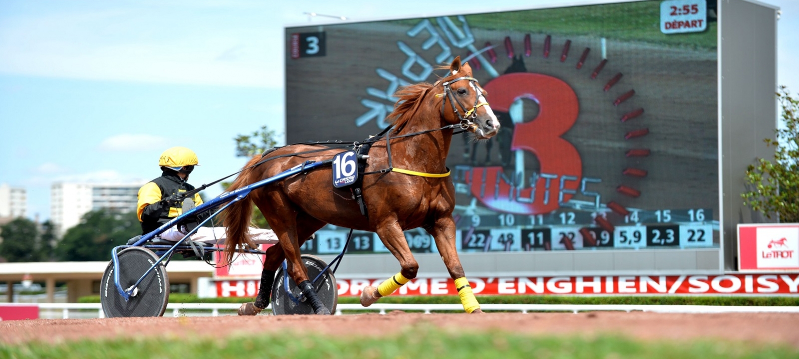 Photo de l'hippodrome d'Enghien-les-Bain montrant un cheval en pleine course