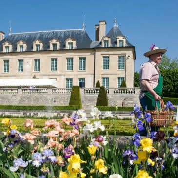 Photo de fleurs au 1er plan avec le Château d'Auvers-sur-Oise au 2nd