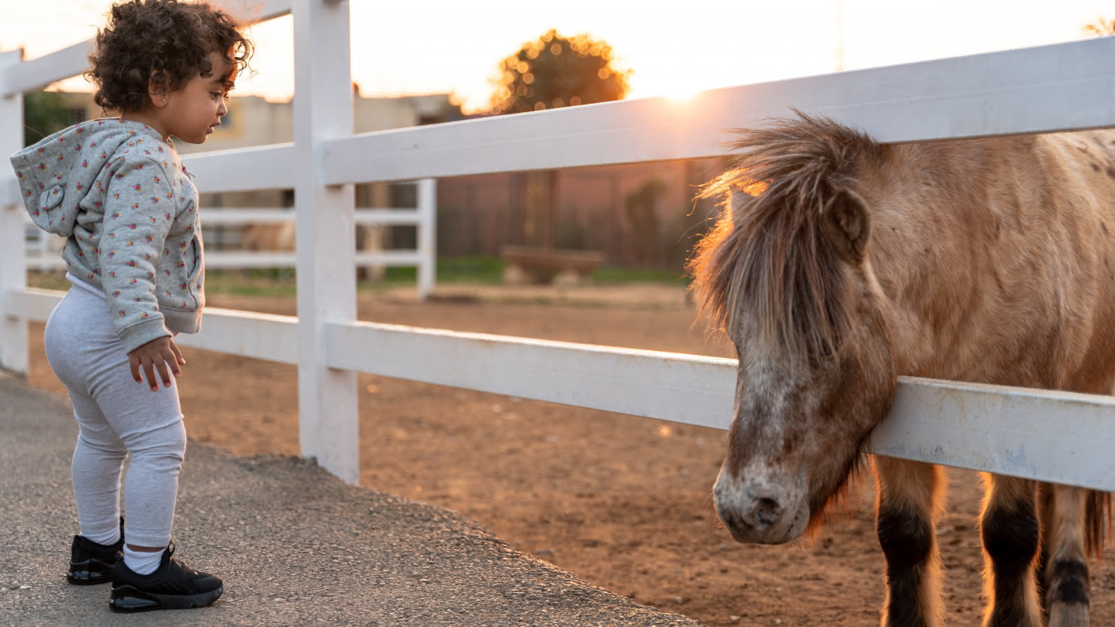 Bébé fille et un poney derrière une barrière dans un champs