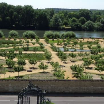 potager de La Roche Guyon vu depuis la terrasse du Château